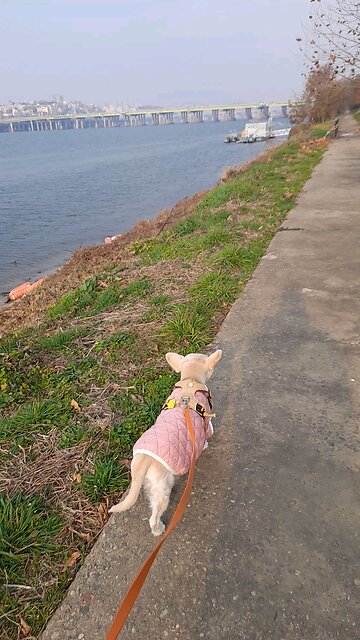 20251124. Jesus Christ Is King.