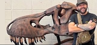 Your mouth is more powerful than a trex's