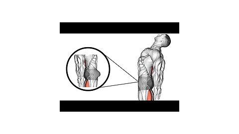 6 Best Exercises to Make Natural Body at Home