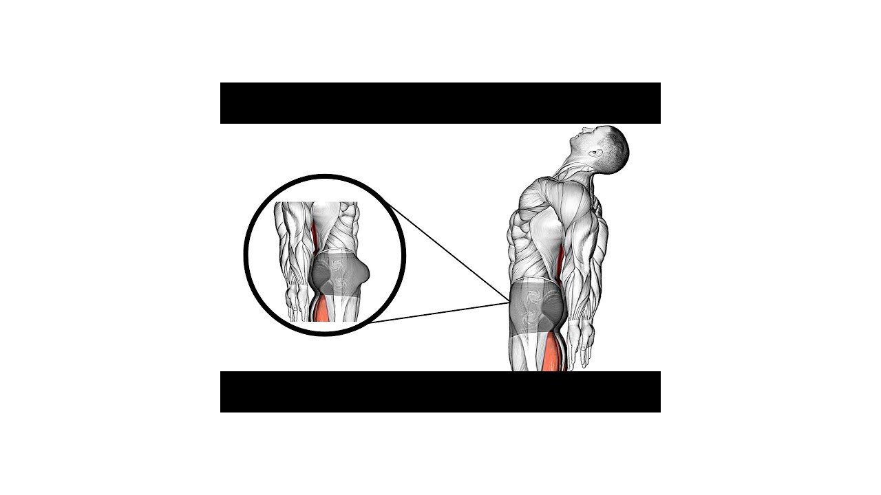 6 Best Exercises to Make Natural Body at Home