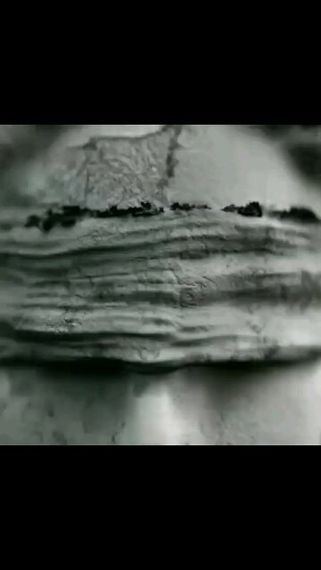 Happy Birthday President George Washington - 2/11/1731 Look What They've Done to Our Nation