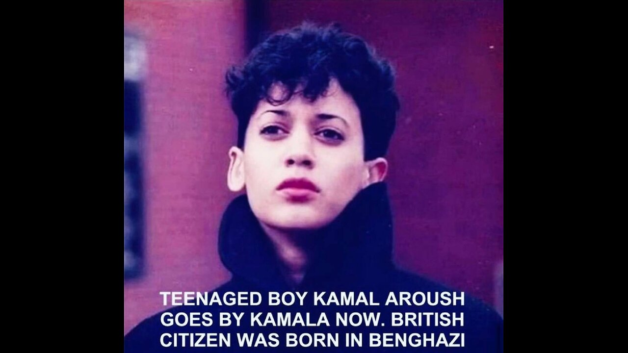 CHRISTMAS 🎄 EVE TRUTH & MEMES ( 2 )