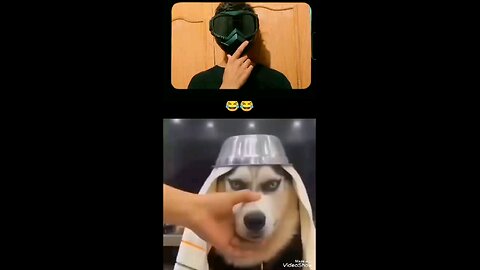 ifncn