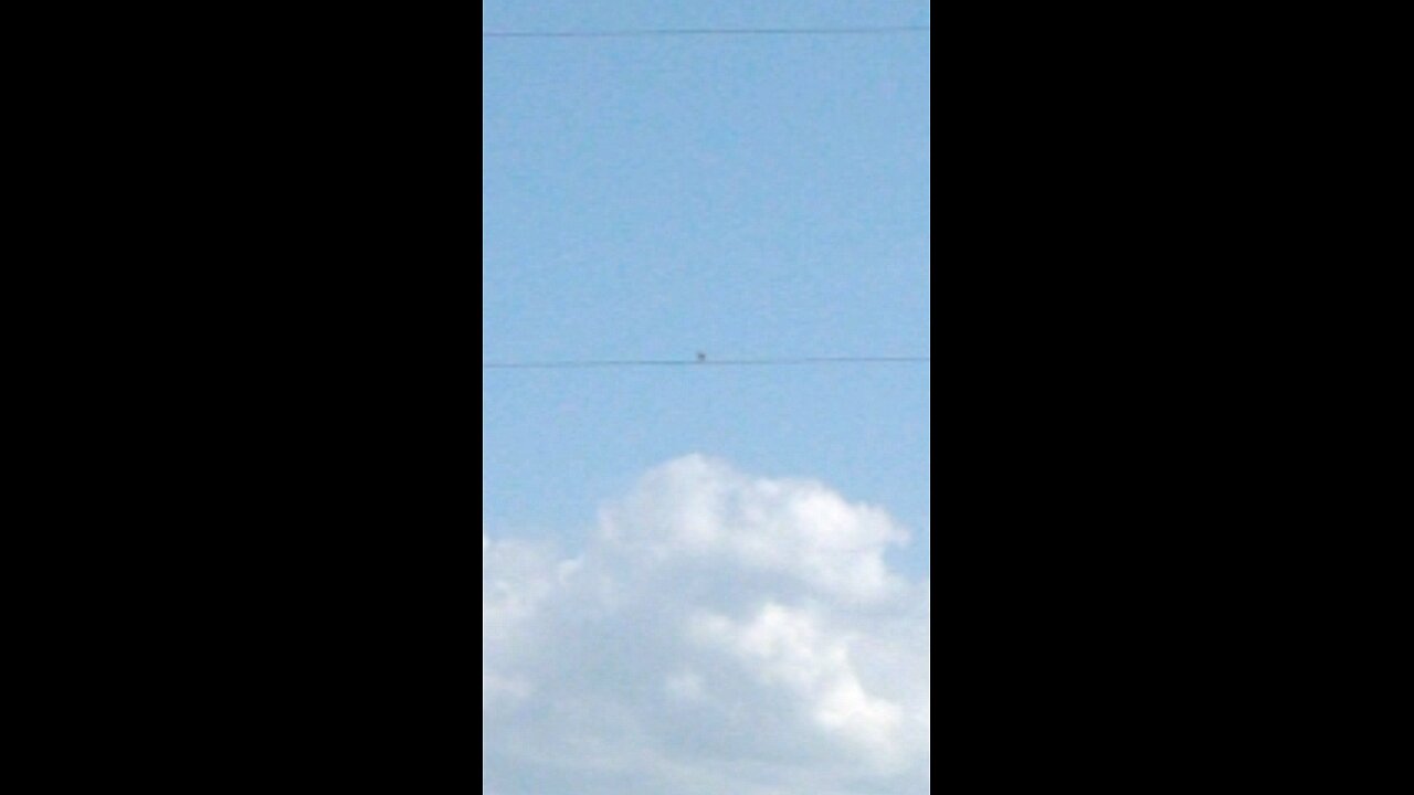 bird chirping