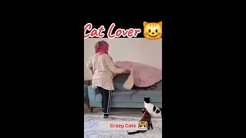 "Lady vs. Sofa Cover: Cats Win Every Time!"