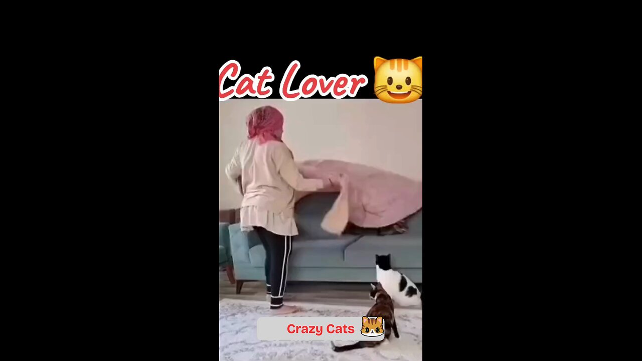 "Lady vs. Sofa Cover: Cats Win Every Time!"
