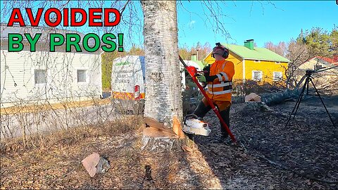 Rejected by Pros – Here’s How I Took Down the Trees They Refused