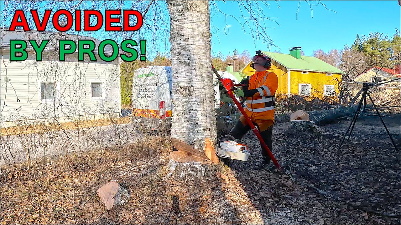 Rejected by Pros – Here’s How I Took Down the Trees They Refused