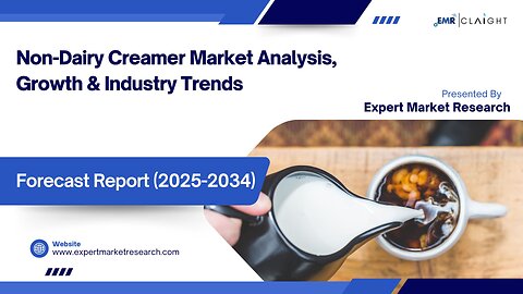 Non-Dairy Creamer Market | Trends, Growth & Forecast 2025-2034