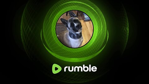 Marvel Rivals S2 Day 1 to top 500