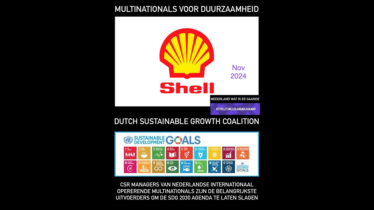 #8 Dutch Sustainable Growth Coalition Shell