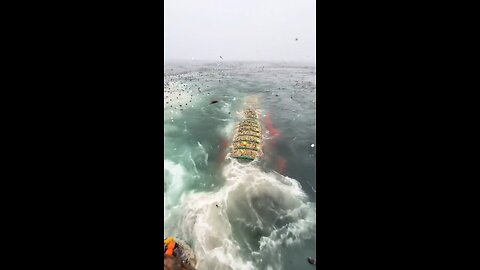 we don't even wantto know how many ships are raping the ocean like this but this is obviously insane