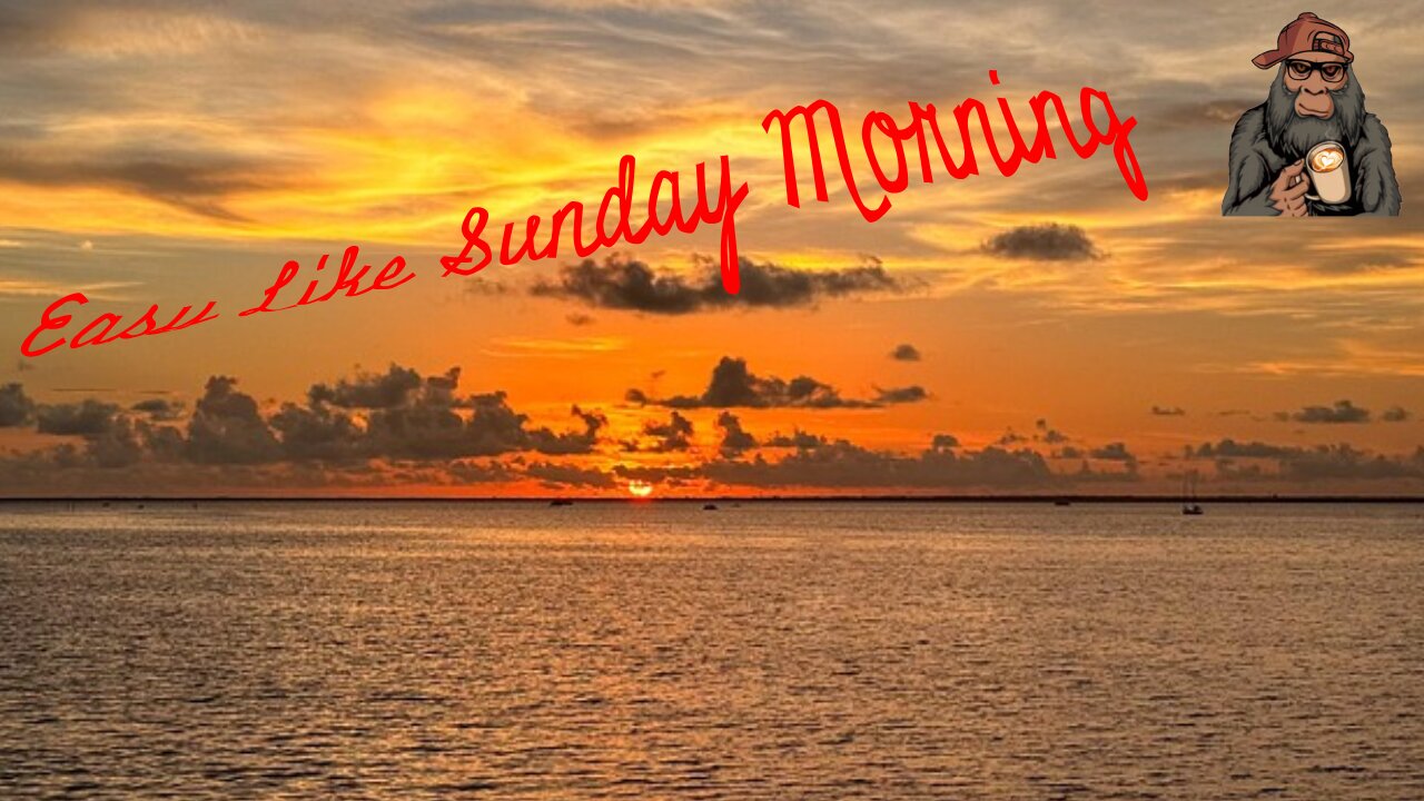 Easy Like Sunday Morning Episode 6; Tariffs on Coffee, Condemns, Etc!?
