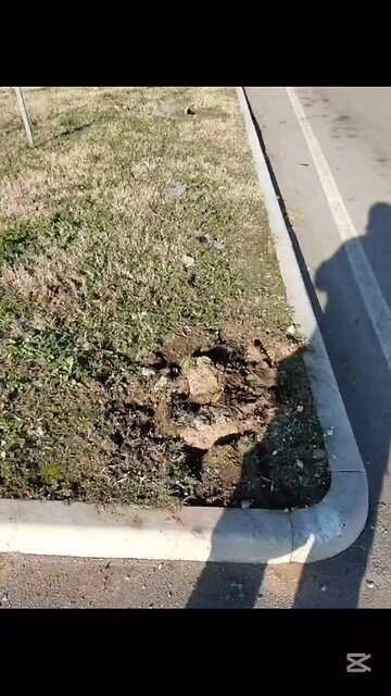 che succede a Magenta?