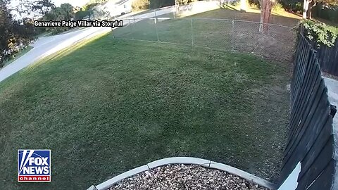 Corvette Crash On Christmas Eve