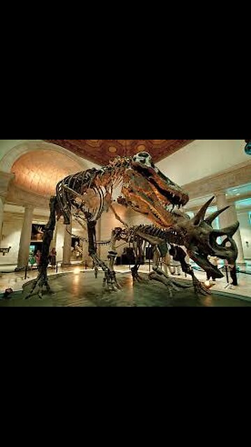 Natural History Museum of Los Angeles