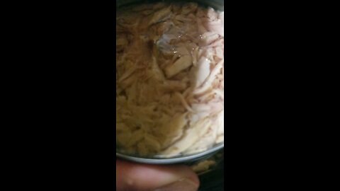 Cinnamon Toast Crunch w Tuna Fish