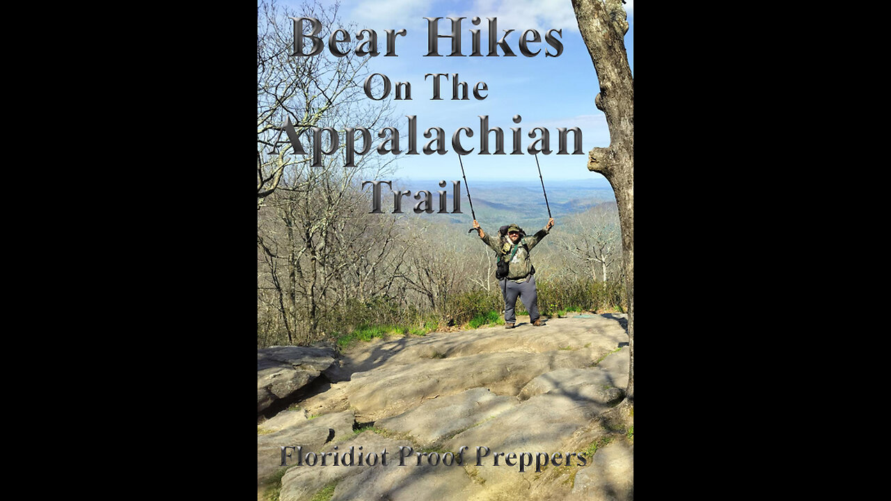 Bear Hikes on the Appalachian Trail