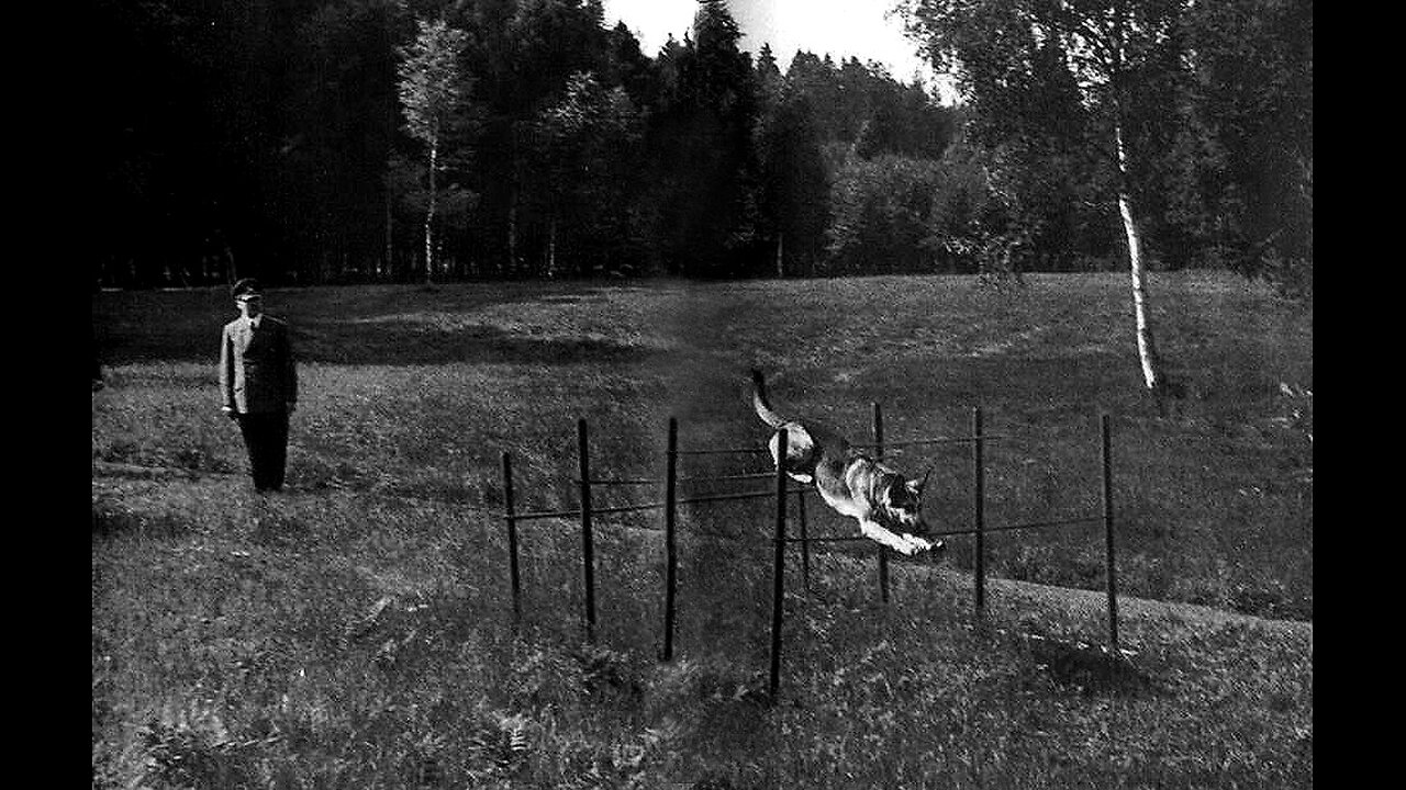 All Modern Cons - Rothschild BS