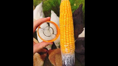 Fastest way to peel corn 🌽