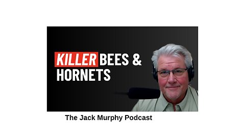 Killer hornets are coming! #098 The Jack Murphy Podcast