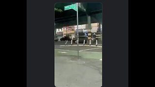 Bats, Bottles, Butts And Boobs - A Battle In The Bronx. Want To Take A Guess As To Whom It Is?