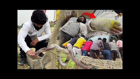 “Shocking Snake Bite Accident: How a Toxic Bite Turned Serious”