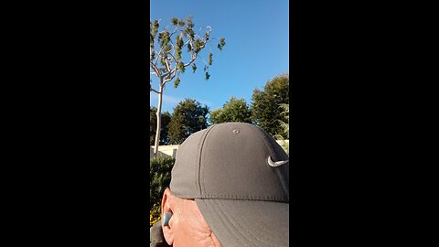 Socialist Bernie Sanders