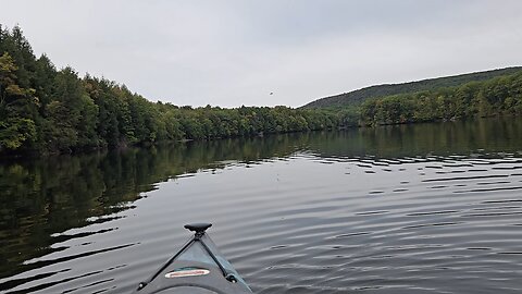 chain pickerel