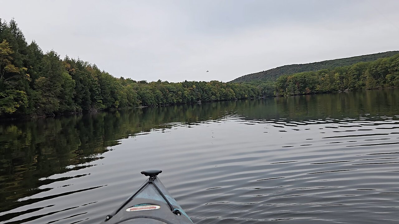 chain pickerel