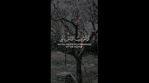 🔥Surah Al-Baqarah 2:44 سورة البقرة ⚠️ Practice What You Preach! 🛐 #quran #shorts #viral