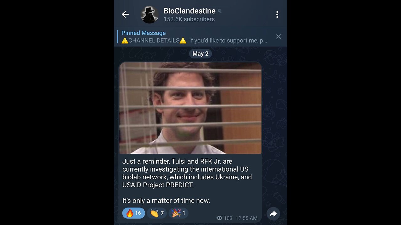 steve miller band-serenade