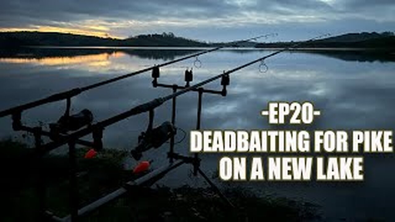 Ep20 | Pike Fishing With Deadbaits On A New Lake Suggested by a Subscriber