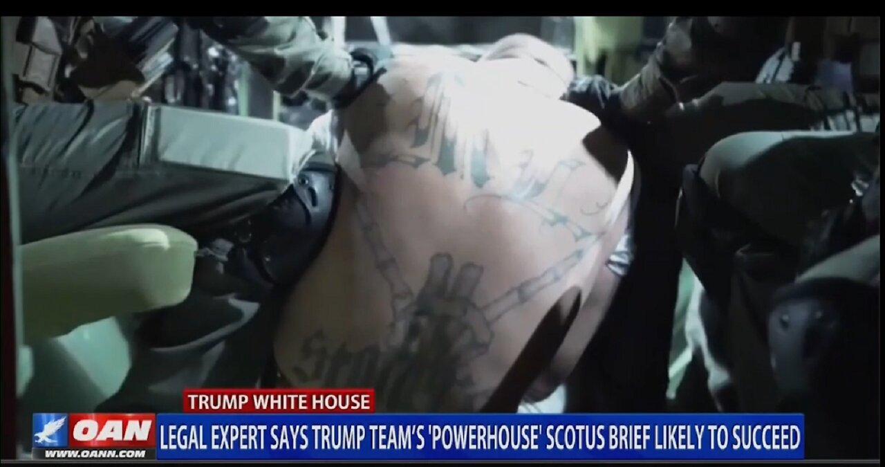 TRUMP'S TEAM POWERHOUSE SCOTUS BRIEF LIKELY TO SUCCEED
