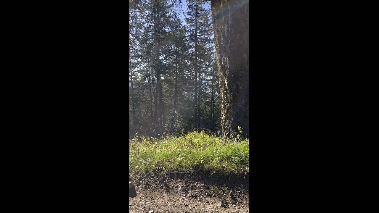 North Idaho Next To Montana