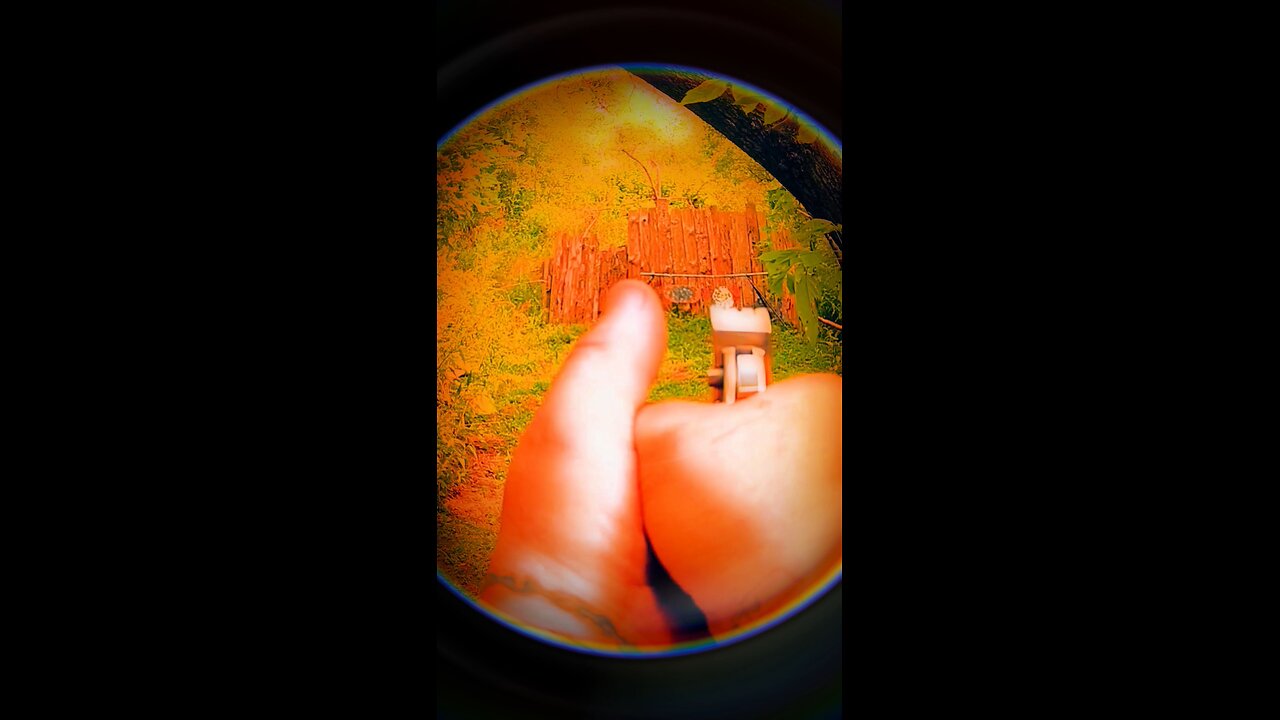 Black Powder Full Load in a Derringer !