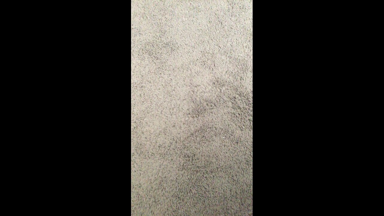 Test11