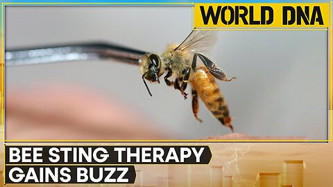 Stroke Patients Turn to Bee Sting Therapies For Relief in Kenya | WION DNA News