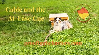 Cable and the At-Ease Cue