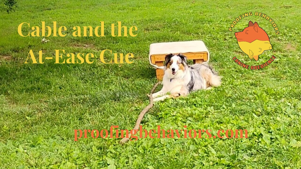 Cable and the At-Ease Cue