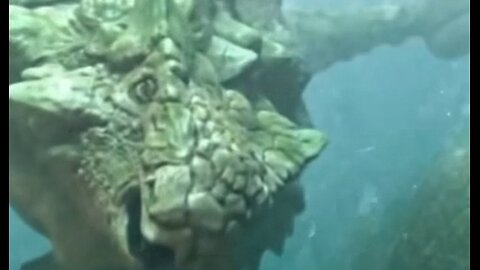 Ankylosaurus on FB