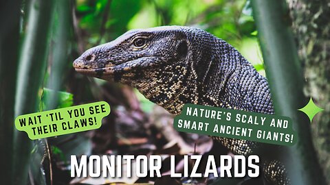 Monitor Lizards Nature’s Ancient Giants!