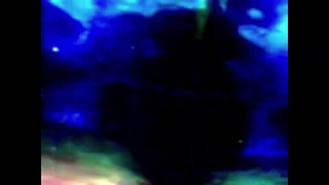 Finding Nemo Whale Roar