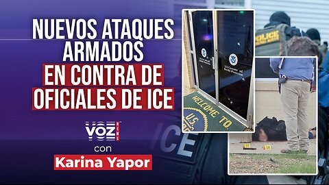ZAR de la frontera llama a funcionarios demócratas a bajar la retórica anti ICE