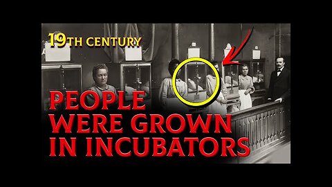 THE INCUBATOR POPULATION