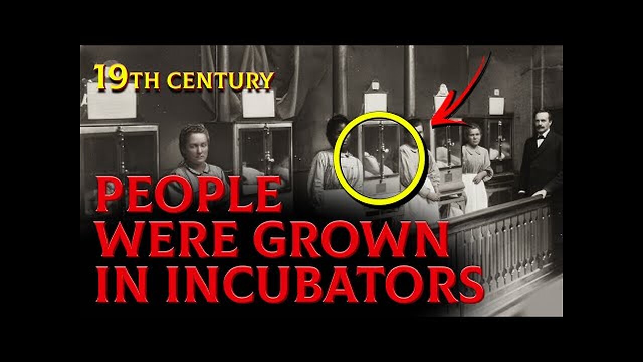 THE INCUBATOR POPULATION