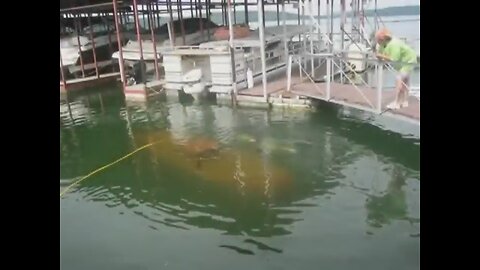 Argonaut Jr - Launch and Frist Dives