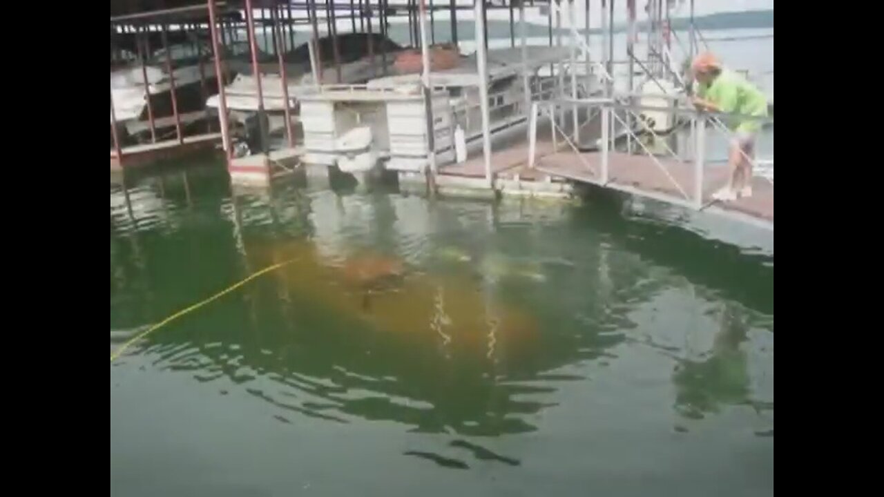 Argonaut Jr - Launch and Frist Dives