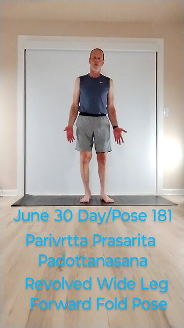 Parivrtta Prasarita Padottanasana / Revolved Wide Leg Forward Fold Pose