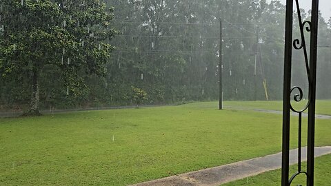 one minute of Swamp Storm